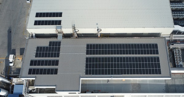 带有太阳能电池板的Allegro建筑的鸟类视野